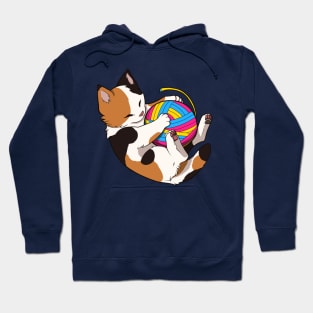 Pansexual Pride Calico Cat Hoodie